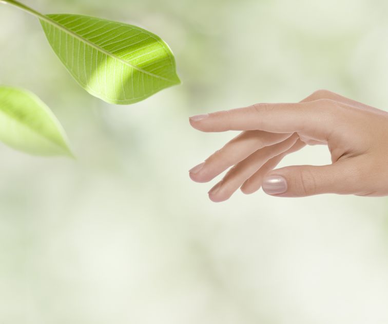 Touch for Health