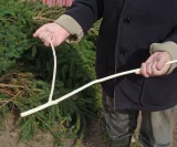 Rutengehen
