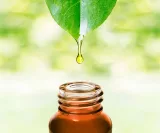 Aromaberatung