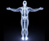 Bodytalk