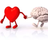 Brain-Gym 
