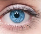 Irisdiagnostik