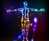 Human Design System