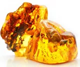 Mythos Bernstein, Gold des Nordens