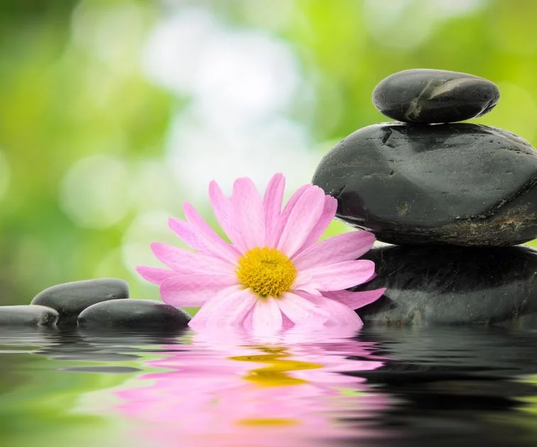Feng Shui - Das lenken der Lebensenergie Artikel