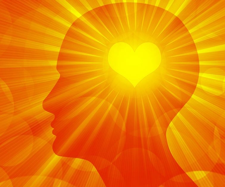 Einfühlung oder die Intelligenz des Herzens Artikel