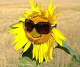 Heute schon Glück gehabt