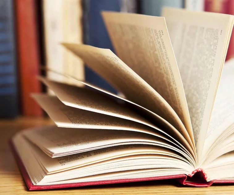 PhotoReading oder 365 Bücher pro Jahr Artikel