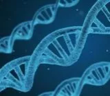The Healthy Code - Gesundheitscode