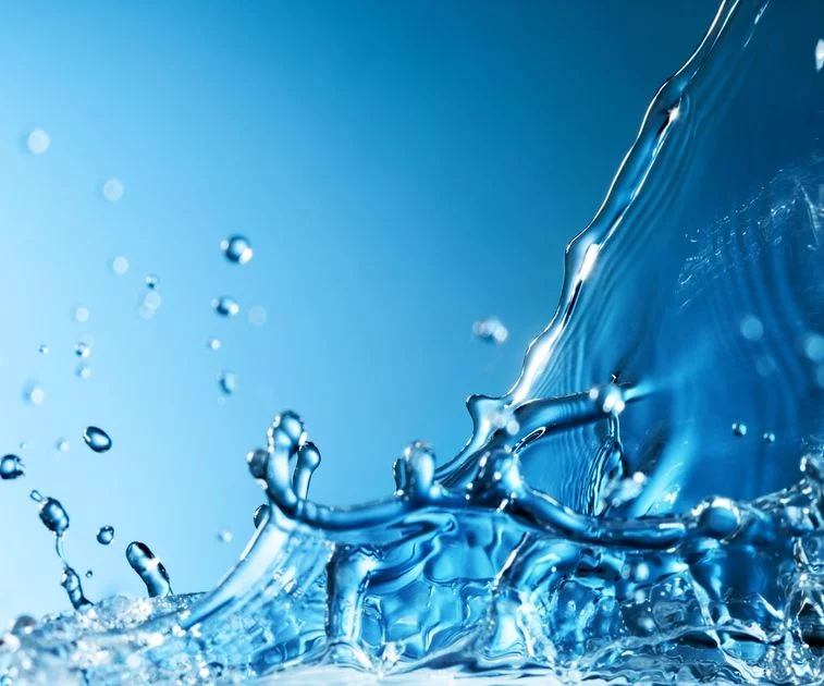 Wasser ist Leben  Philosophie Artikel