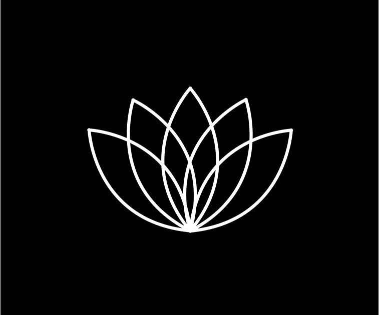 Reconnection und Reconnective Healing  Artikel