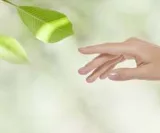 Naturkosmetik und nachhaltige Kosmetik 