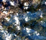 ERDE, KLIMA, WALD und MEER