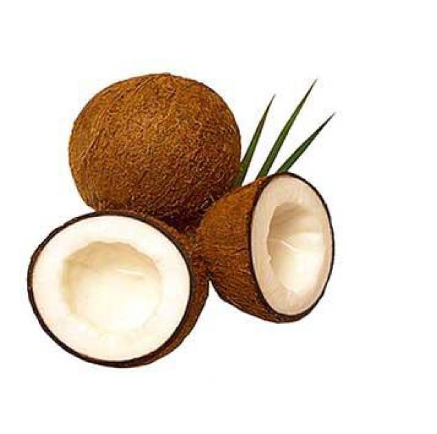 Kokosöl, ein wahrer Alleskönner Artikel