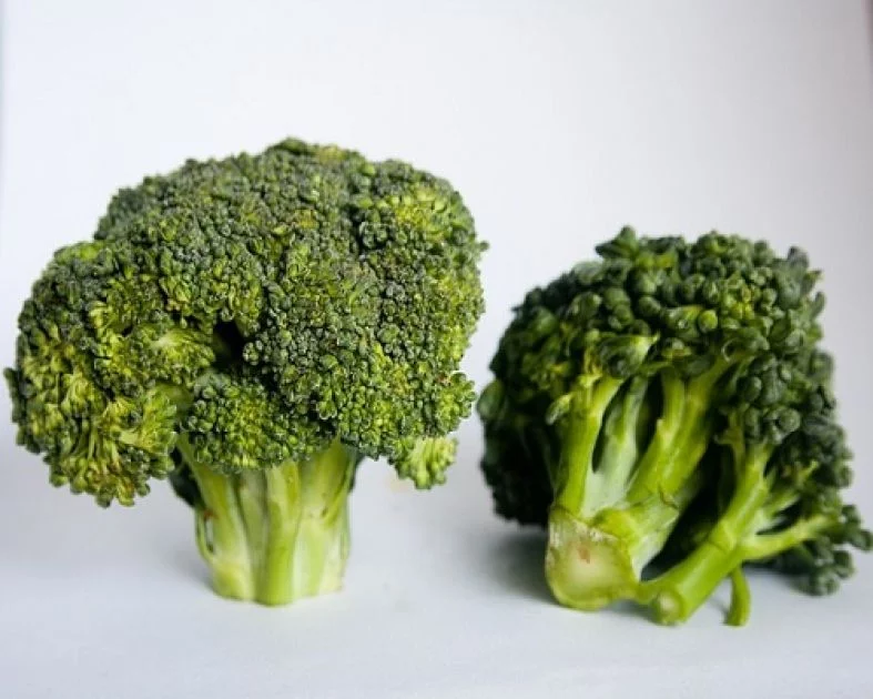 Brokkoli Sprossen als Naturheilmittel Artikel