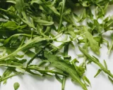 Rucola Artikel